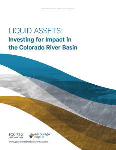 liquid assets cover